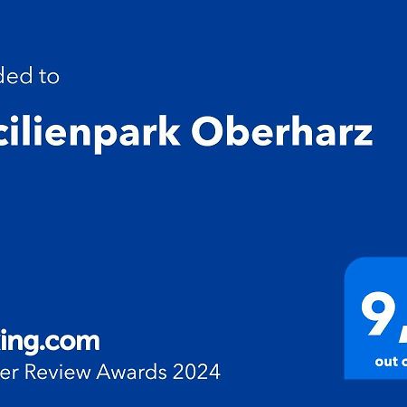 Cecilienpark Oberharz Villa Goslar Eksteriør billede