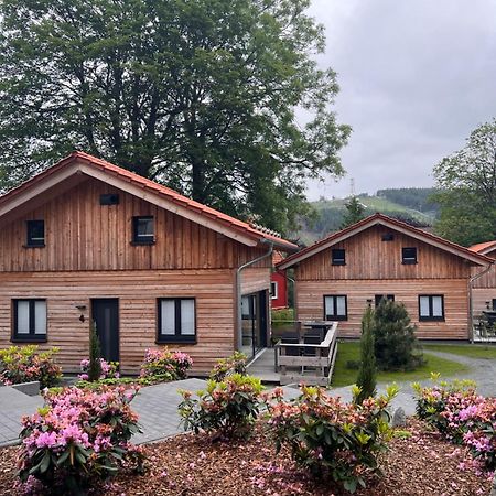 Cecilienpark Oberharz Villa Goslar Eksteriør billede