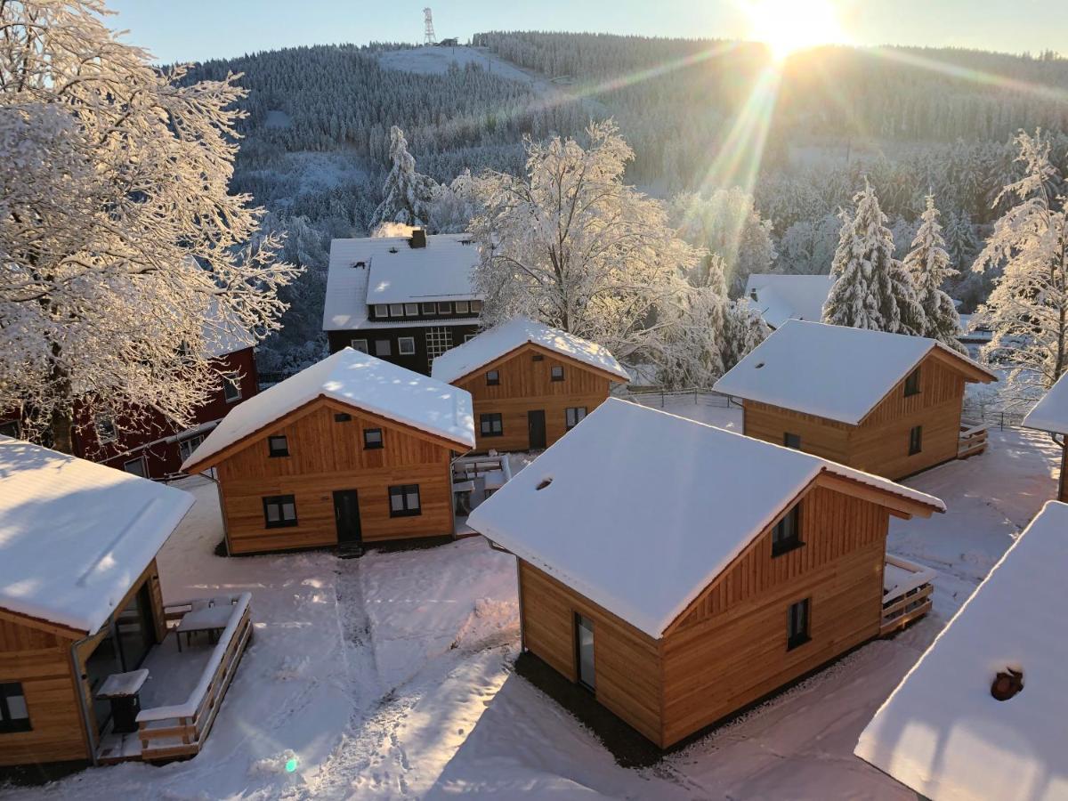 Cecilienpark Oberharz Villa Goslar Eksteriør billede
