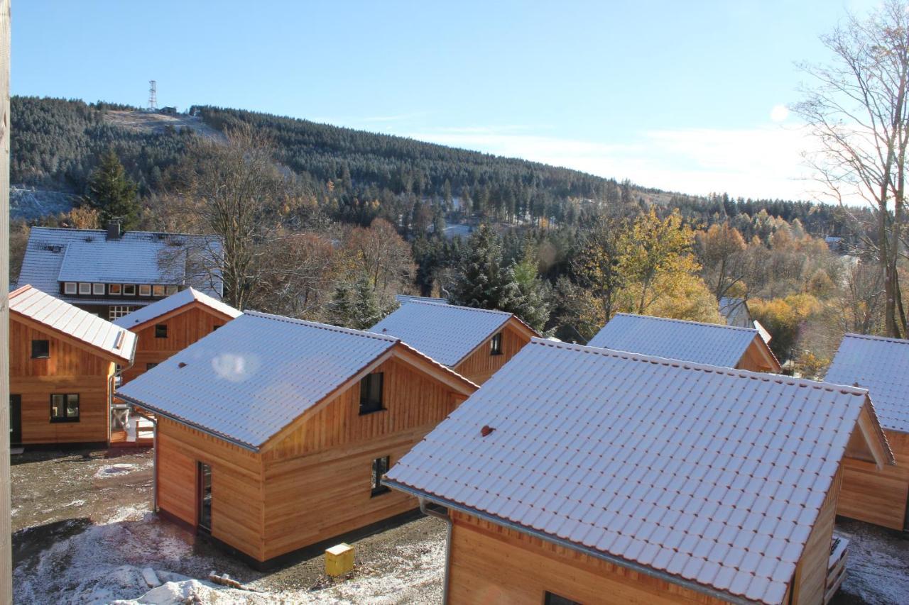 Cecilienpark Oberharz Villa Goslar Eksteriør billede