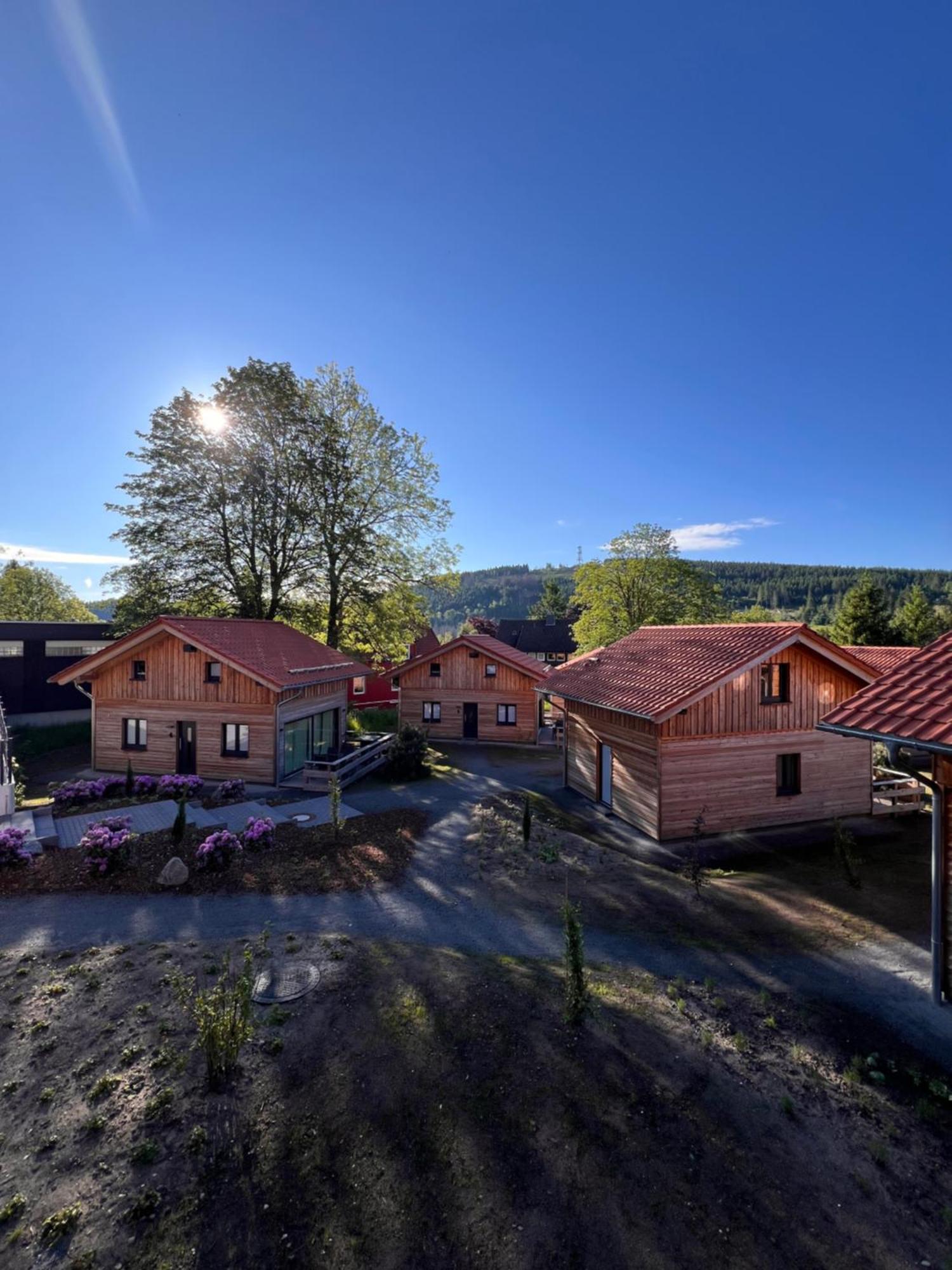 Cecilienpark Oberharz Villa Goslar Eksteriør billede