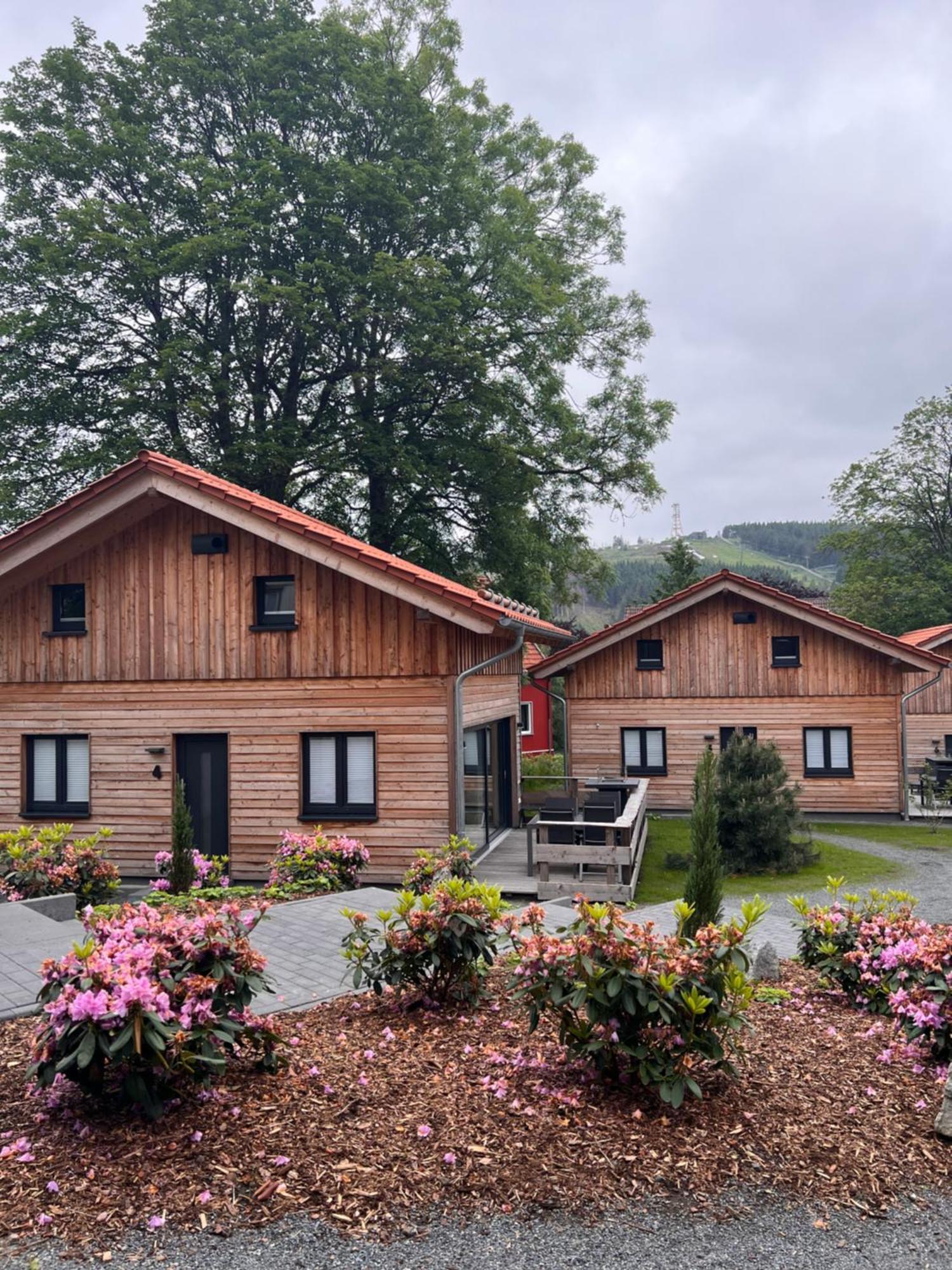 Cecilienpark Oberharz Villa Goslar Eksteriør billede