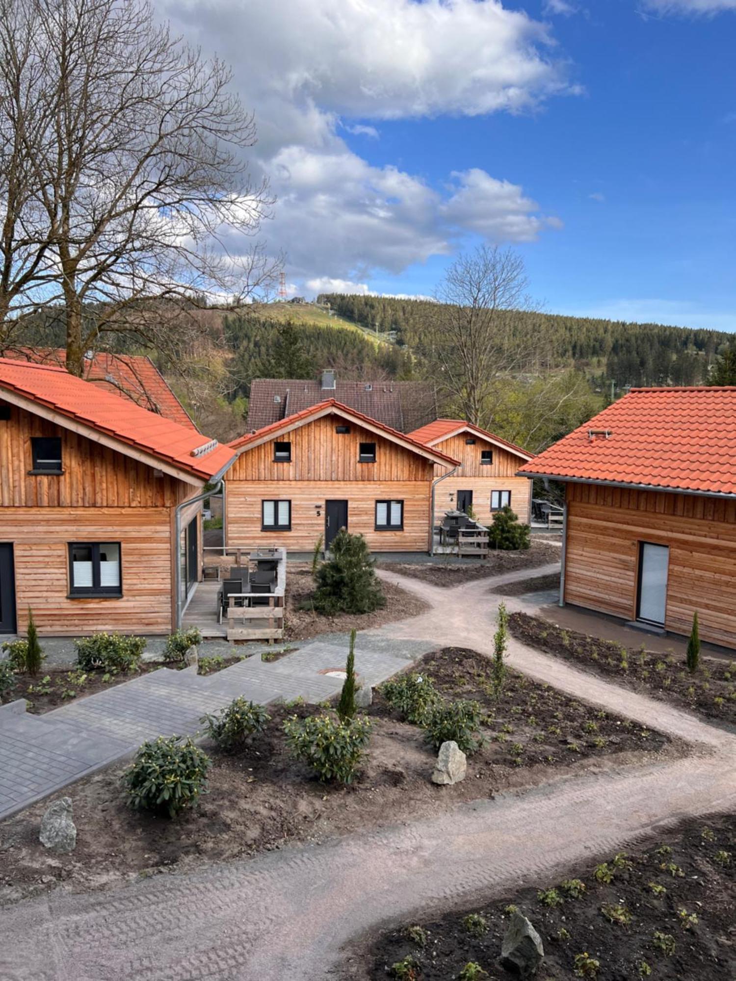 Cecilienpark Oberharz Villa Goslar Eksteriør billede